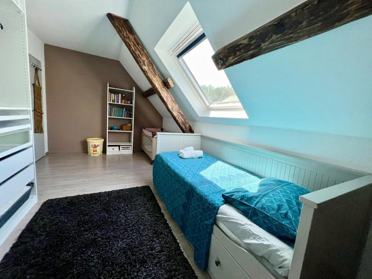 Superbe Appartement Duplex A Kaysersberg En Alsace Eksteriør bilde