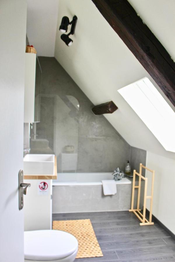 Superbe Appartement Duplex A Kaysersberg En Alsace Eksteriør bilde